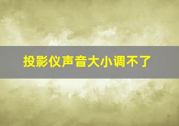 投影仪声音大小调不了