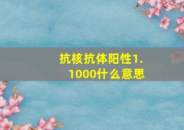 抗核抗体阳性1.1000什么意思