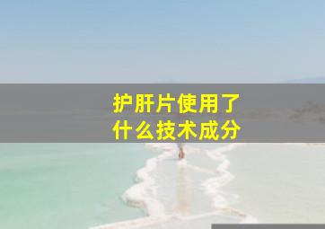 护肝片使用了什么技术成分