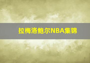 拉梅洛鲍尔NBA集锦