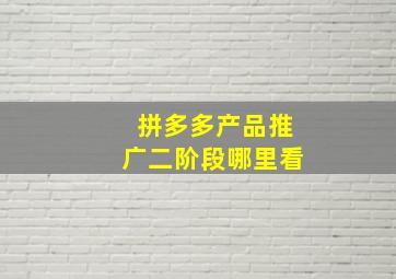 拼多多产品推广二阶段哪里看