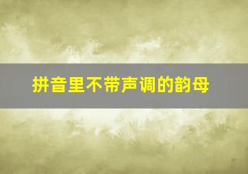 拼音里不带声调的韵母