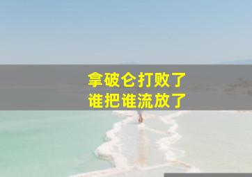 拿破仑打败了谁把谁流放了