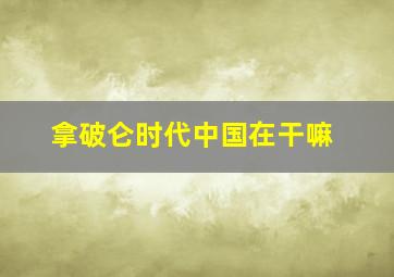 拿破仑时代中国在干嘛