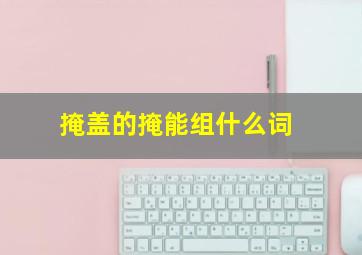 掩盖的掩能组什么词