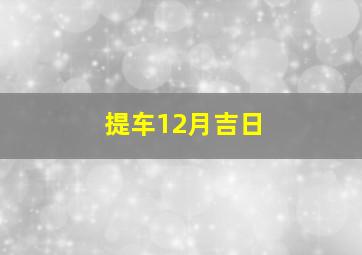 提车12月吉日