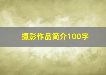 摄影作品简介100字