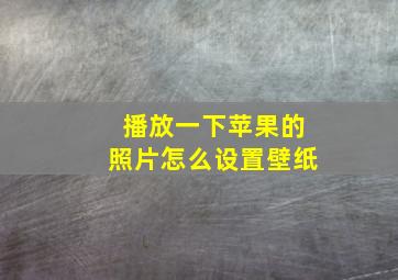 播放一下苹果的照片怎么设置壁纸