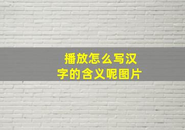 播放怎么写汉字的含义呢图片