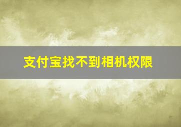 支付宝找不到相机权限