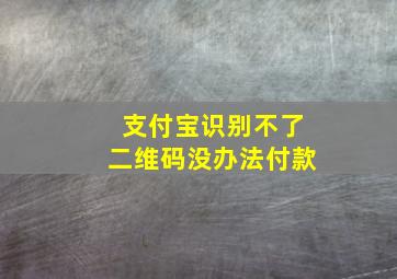 支付宝识别不了二维码没办法付款