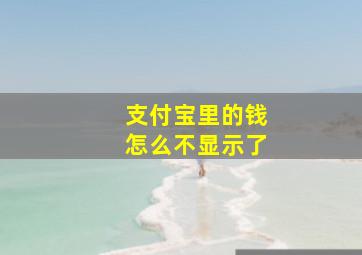 支付宝里的钱怎么不显示了