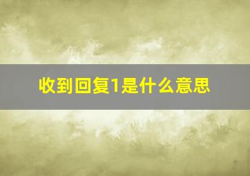 收到回复1是什么意思