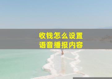 收钱怎么设置语音播报内容