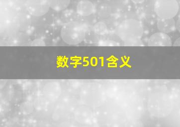 数字501含义