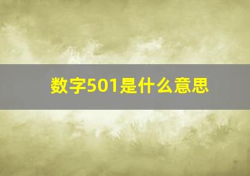 数字501是什么意思