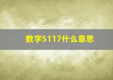 数字5117什么意思