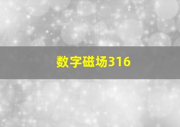 数字磁场316