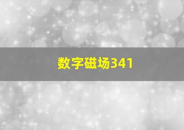 数字磁场341