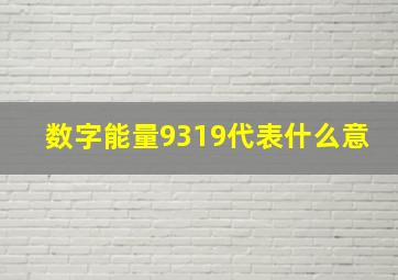 数字能量9319代表什么意