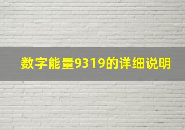 数字能量9319的详细说明