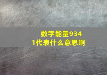 数字能量9341代表什么意思啊