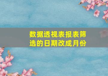 数据透视表报表筛选的日期改成月份