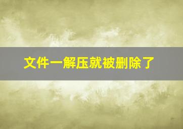 文件一解压就被删除了