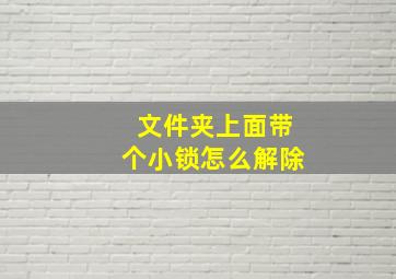 文件夹上面带个小锁怎么解除