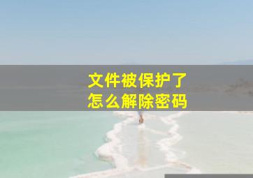 文件被保护了怎么解除密码