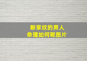 断掌纹的男人命理如何呢图片