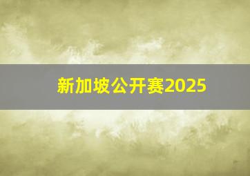 新加坡公开赛2025