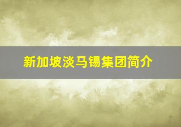 新加坡淡马锡集团简介