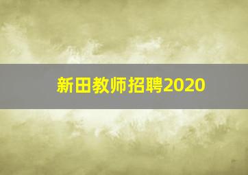 新田教师招聘2020