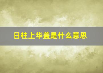 日柱上华盖是什么意思