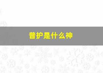 普护是什么神