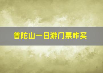 普陀山一日游门票咋买