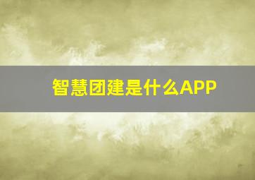 智慧团建是什么APP