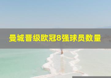 曼城晋级欧冠8强球员数量