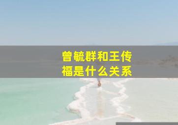 曾毓群和王传福是什么关系