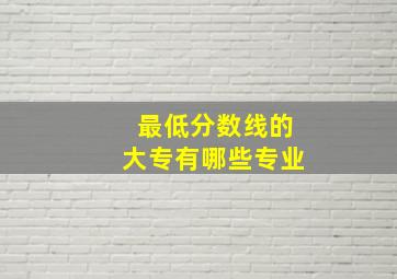 最低分数线的大专有哪些专业