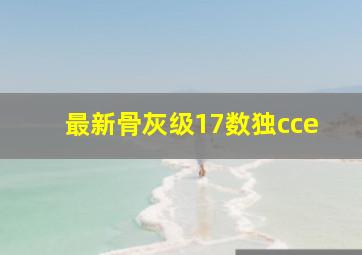 最新骨灰级17数独cce