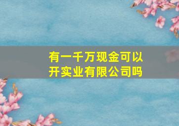 有一千万现金可以开实业有限公司吗