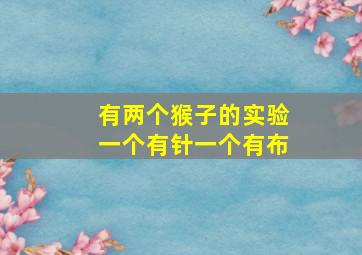 有两个猴子的实验一个有针一个有布