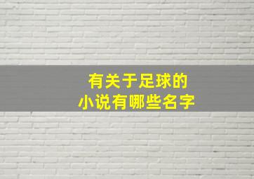 有关于足球的小说有哪些名字