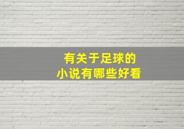 有关于足球的小说有哪些好看