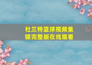 杜兰特篮球视频集锦完整版在线观看