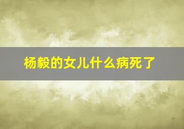 杨毅的女儿什么病死了