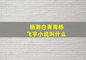 杨瀚白青青杨飞宇小说叫什么