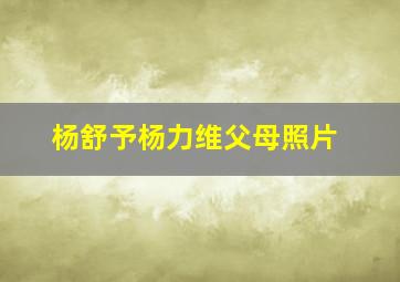 杨舒予杨力维父母照片